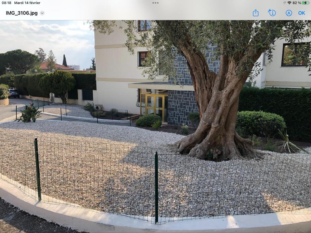 Beautiful T3 Terrasse Nizza Exterior foto